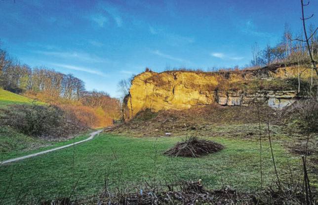 Der Doberg in Bünde ist eines von 41 Naturschutzgebieten im Kreis Herford. Die Kreisverwaltung möchte die  Naturschutzflächen mehr als verdoppeln. Das sorgt für Diskussionen.  Die Forscherhaus-Zwerge sind am Schulwall zu Hause. Das Gelände ist  mit einem 